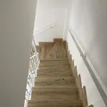 公寓 Residenza Adelaide 卡斯特拉巴特